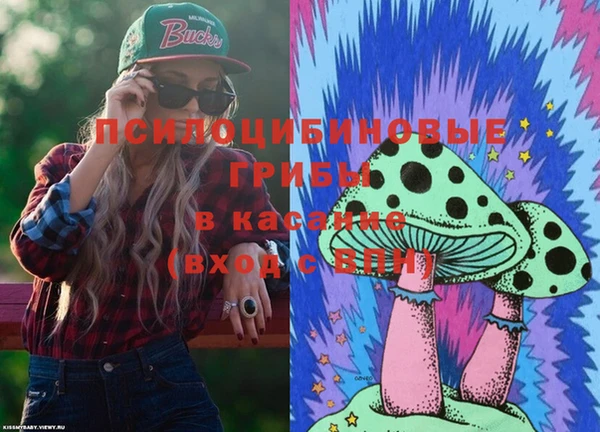 МДПВ Верхний Тагил