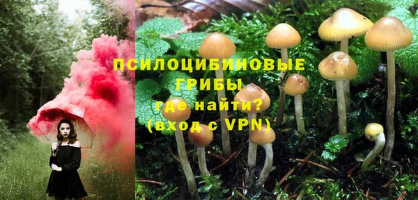крисы Верея