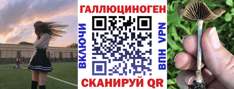 Галлюциногенные грибы Cubensis  блэк спрут ТОР  Вольск 